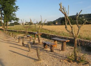 Contrada Rurale di Tricase - Percorso di valorizzazione e fruizione dei Beni Ambientali della zona Palane