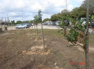 21 novembre 2010 - Piazzale antistante al Palazzetto dello Sport 