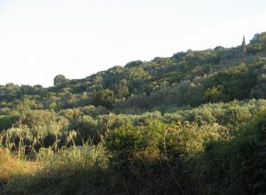 Contrada Rurale di Tricase - Percorso di valorizzazione e fruizione dei Beni Ambientali della zona Palane