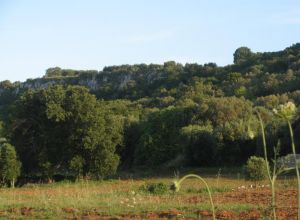 Contrada Rurale di Tricase - Percorso di valorizzazione e fruizione dei Beni Ambientali della zona Palane