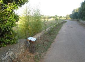 Contrada Rurale di Tricase - Percorso di valorizzazione e fruizione dei Beni Ambientali della zona Palane