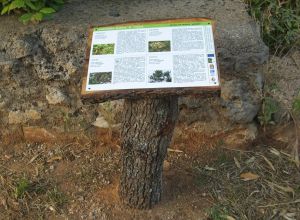 Contrada Rurale di Tricase - Percorso di valorizzazione e fruizione dei Beni Ambientali della zona Palane