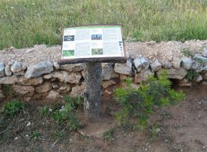 Contrada Rurale di Tricase - Percorso di valorizzazione e fruizione dei Beni Ambientali della zona Palane