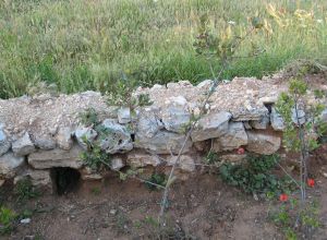 Contrada Rurale di Tricase - Percorso di valorizzazione e fruizione dei Beni Ambientali della zona Palane