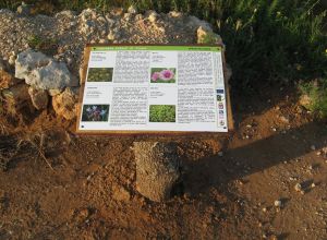 Contrada Rurale di Tricase - Percorso di valorizzazione e fruizione dei Beni Ambientali della zona Palane