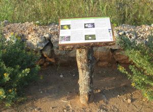 Contrada Rurale di Tricase - Percorso di valorizzazione e fruizione dei Beni Ambientali della zona Palane