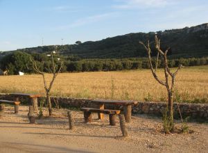 Contrada Rurale di Tricase - Percorso di valorizzazione e fruizione dei Beni Ambientali della zona Palane