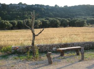 Contrada Rurale di Tricase - Percorso di valorizzazione e fruizione dei Beni Ambientali della zona Palane