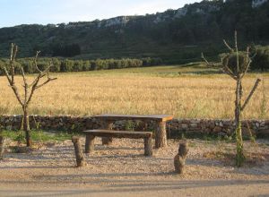 Contrada Rurale di Tricase - Percorso di valorizzazione e fruizione dei Beni Ambientali della zona Palane