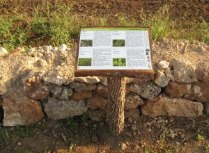 Contrada Rurale di Tricase - Percorso di valorizzazione e fruizione dei Beni Ambientali della zona Palane