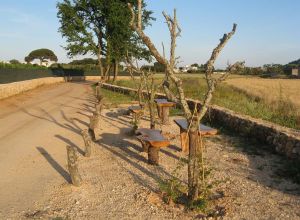 Contrada Rurale di Tricase - Percorso di valorizzazione e fruizione dei Beni Ambientali della zona Palane