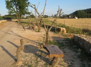 Contrada Rurale di Tricase - Percorso di valorizzazione e fruizione dei Beni Ambientali della zona Palane