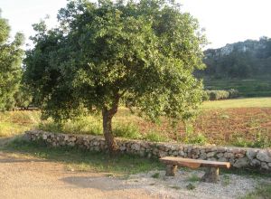 Contrada Rurale di Tricase - Percorso di valorizzazione e fruizione dei Beni Ambientali della zona Palane