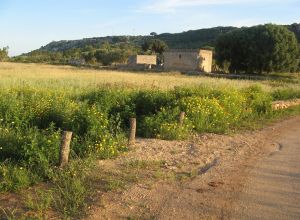 Contrada Rurale di Tricase - Percorso di valorizzazione e fruizione dei Beni Ambientali della zona Palane