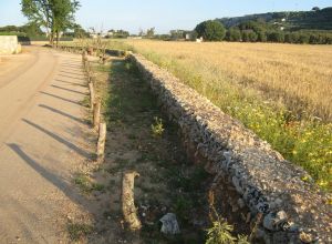 Contrada Rurale di Tricase - Percorso di valorizzazione e fruizione dei Beni Ambientali della zona Palane