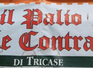 III Edzione del  Palio delle contrade