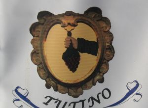 III Edizione - Palio delle Contrade - Stemma della Contrada di Tutino