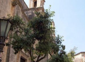 Tricase - Piazza Pisanelli - Uno scorcio del Convento dei Domenicani