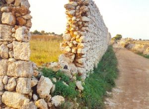 Vecchio muro di cinta dell'Abazia del Mito