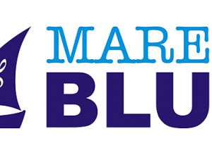 Logo della manifestazione Mare Blues