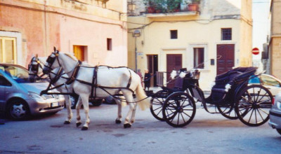 Tricase - piazza Don Tonino Bello 