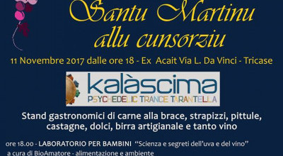 TRICASE - 11 NOVEMBRE 2017 - ORE 18.00 - EX ACAIT VIA LEONARDO DA VINCI - SEC...