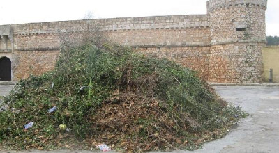 Caprarica del Capo - piazza Sant'Andrea - Legna accatastata per la focare...