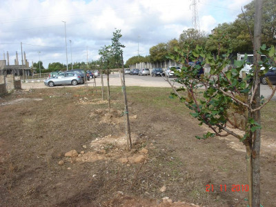 21 novembre 2010 - Piazzale antistante al Palazzetto dello Sport Gi...