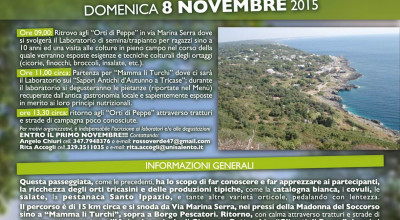 Domenica 8 Novembre 2015: una passeggiata in Bicicletta tra le Campagne Trica...