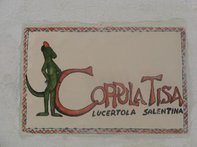 Logo dell'Associazione Coppula Tisa Onlus