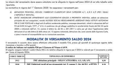 IMU - SALDO ANNO 2024