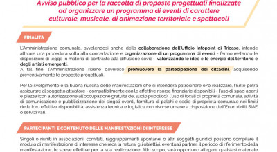 AVVISO PUBBLICO  ACQUISIZIONE PROPOSTE PROGETTUALI FINALIZZATE ALL'ORGANIZZAZ...