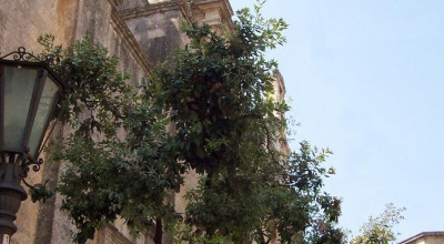 Tricase - Piazza Pisanelli - Uno scorcio del Convento dei Domenicani