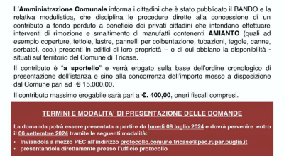 AVVISO PUBBLICO - BANDO PER LA CONCESSIONE DI CONTRIBUTI PER LA RIMOZIONE DI ...