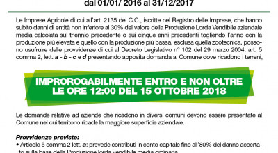 IL SINDACO COMUNICA CHE SULLA G.U. N.202 DEL 31.8.2018 E' STATA PUBBLICATA LA...